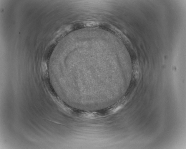 X0000085810523200704131950