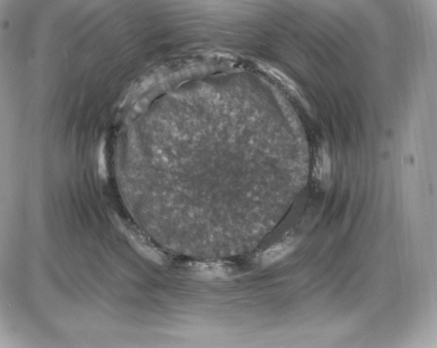 X0000085810524200704131950