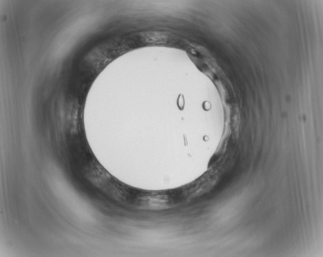 X0000085810525200704131950