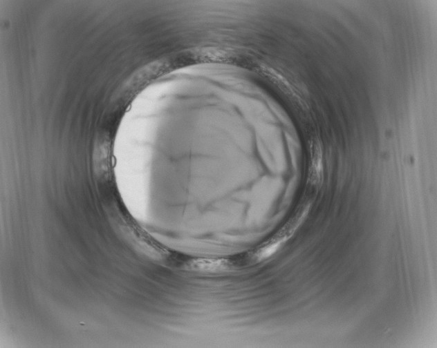 X0000085810526200704131949