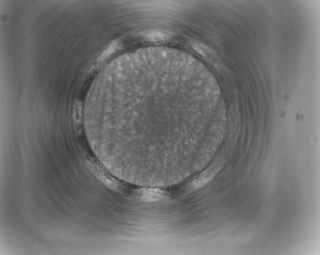 X0000085810528200704131949