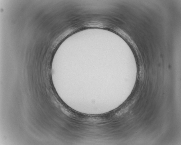 X0000085810529200704131949