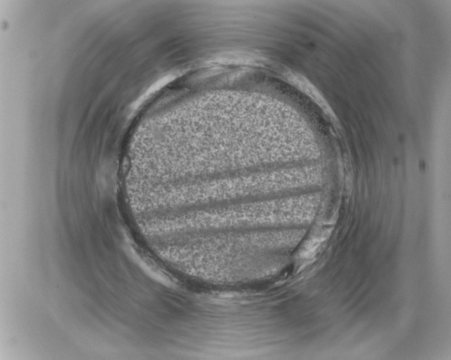 X0000085810530200704131949