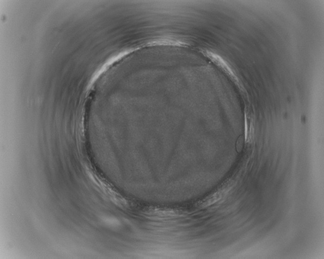 X0000085810531200704131949