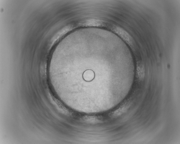 X0000085810534200704131949