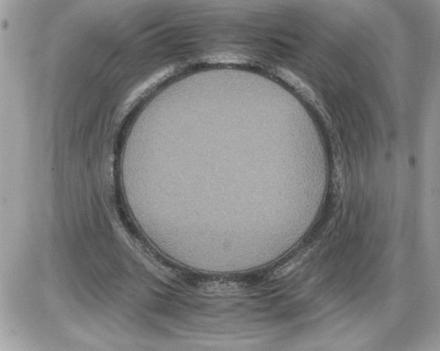 X0000085810535200704131949