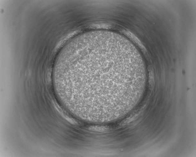 X0000085810537200704131949