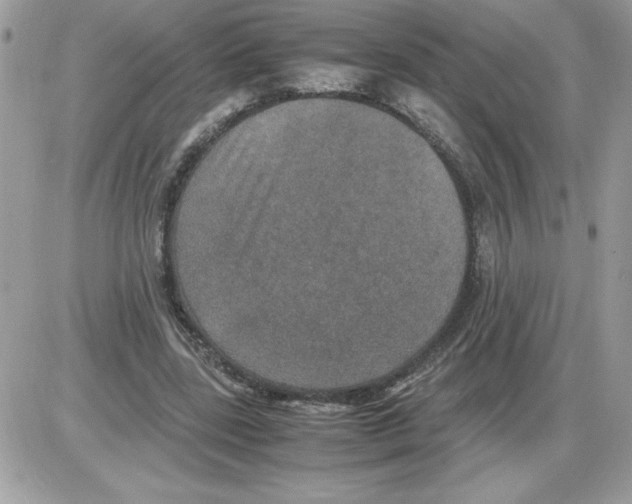 X0000085810539200704131949