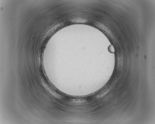 X0000085810541200704131949