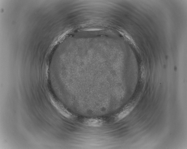 X0000085810542200704131949