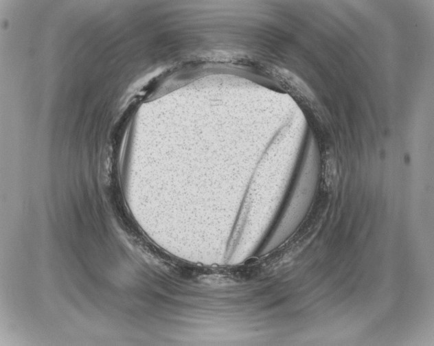 X0000085810544200704131949