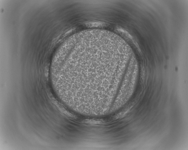 X0000085810545200704131949