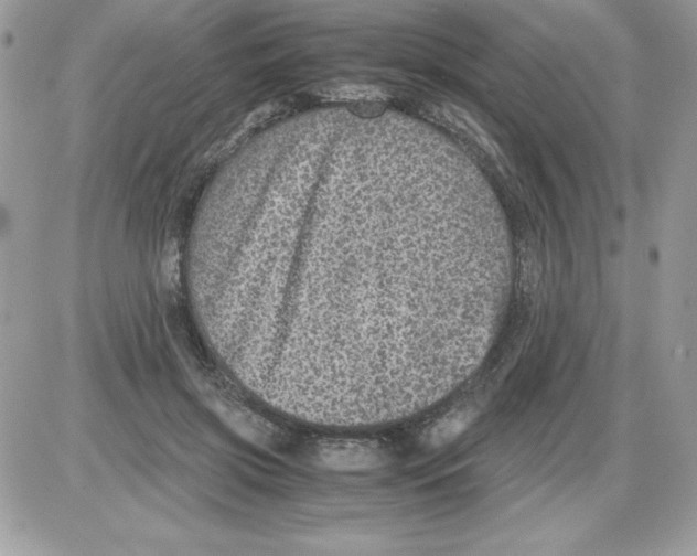 X0000085810549200704131949