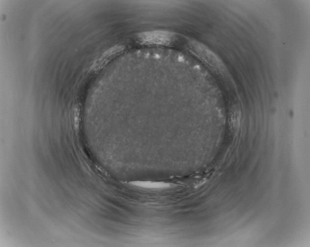 X0000085810551200704131949