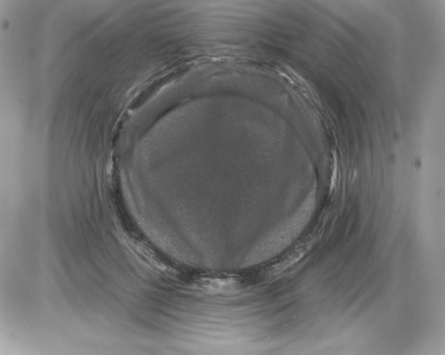 X0000085810552200704131949