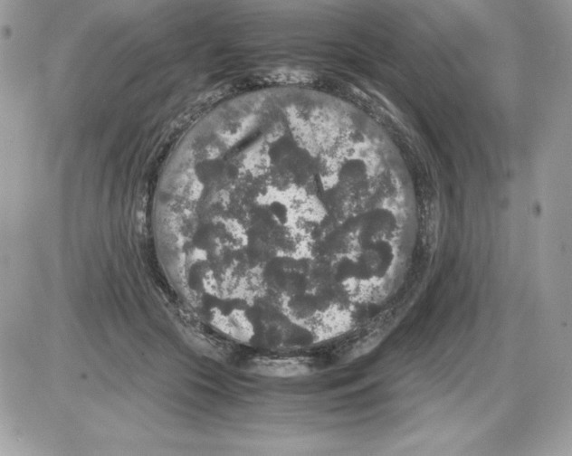 X0000085810553200704131949