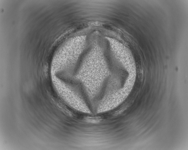 X0000085810556200704131949