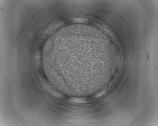 X0000085810557200704131949