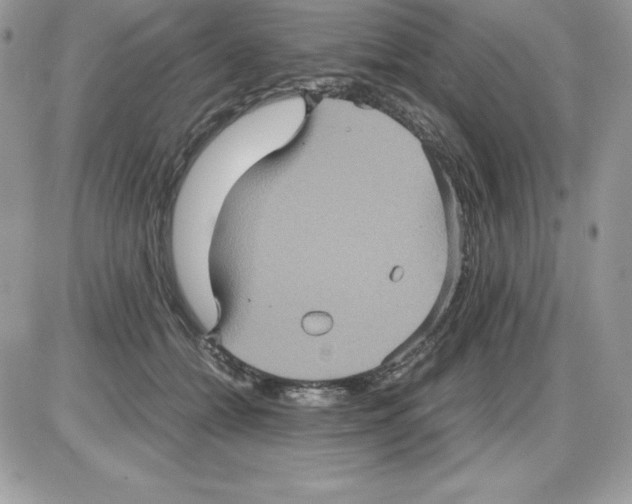 X0000085810558200704131949