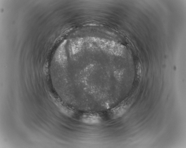 X0000085810559200704131949