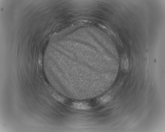 X0000085810561200704131949