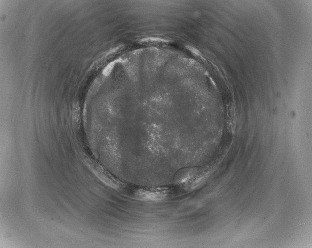 X0000085810563200704131949