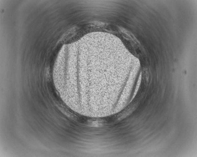 X0000085810564200704131949