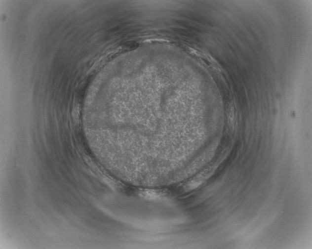 X0000085810565200704131949