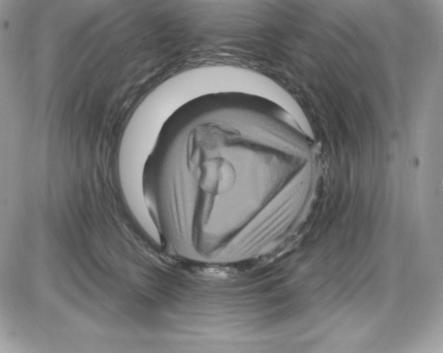 X0000085810566200704131949