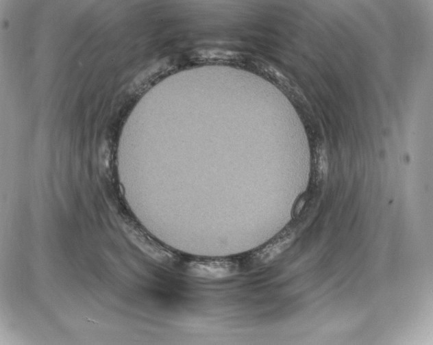 X0000085810567200704131949