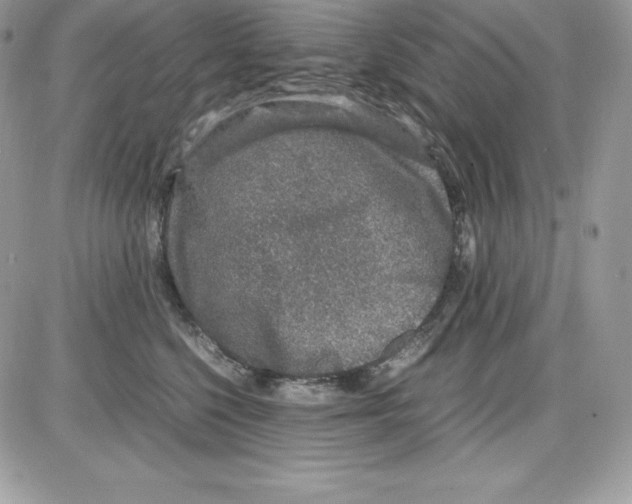 X0000085810568200704131949