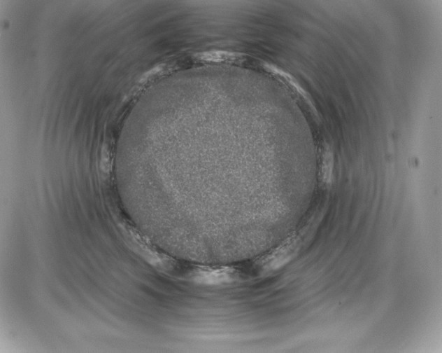 X0000085810569200704131949