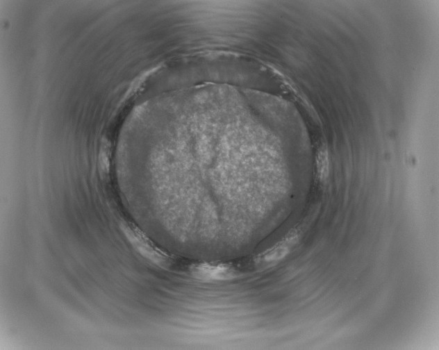 X0000085810570200704131949