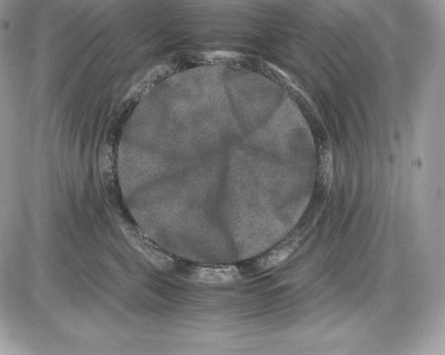 X0000085810571200704131949