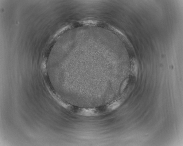 X0000085810573200704131949