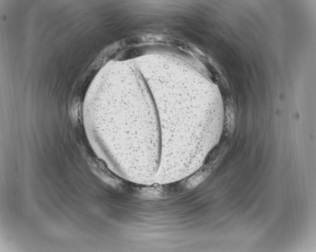 X0000085810574200704131949