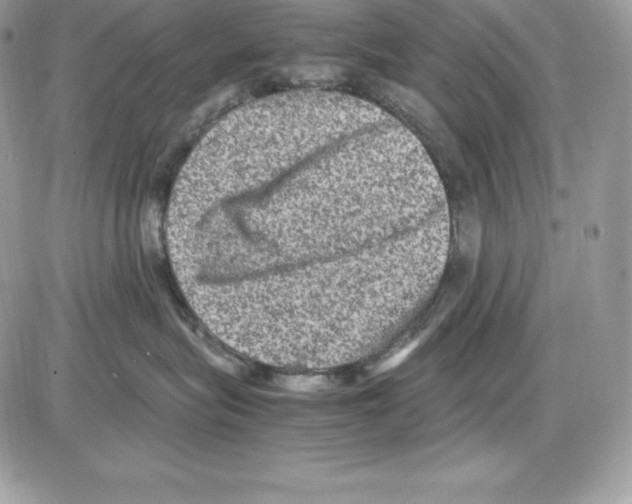 X0000085810575200704131949