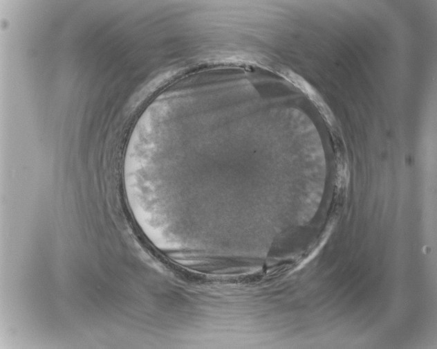 X0000085810577200704131949