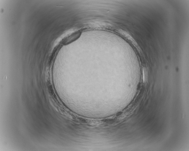 X0000085810579200704131949