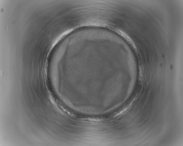 X0000085810580200704131949