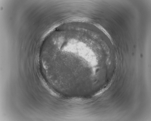 X0000085810581200704131949