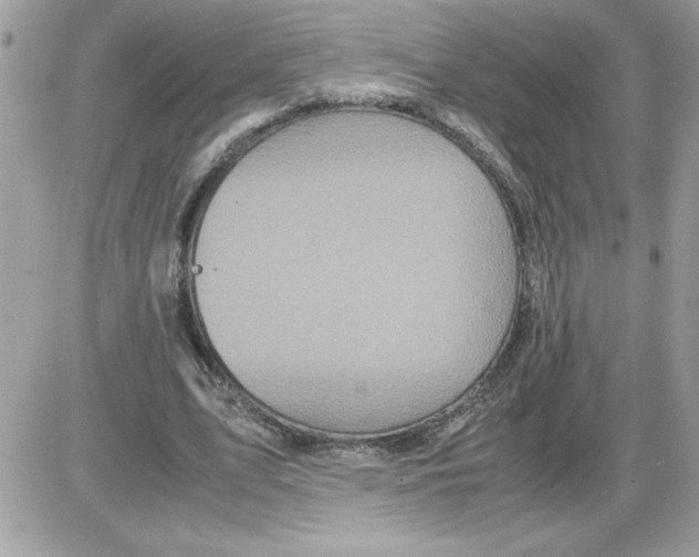 X0000085810583200704131949