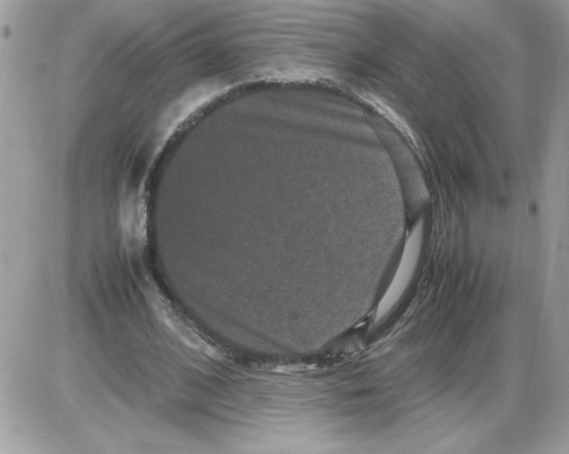 X0000085810584200704131949