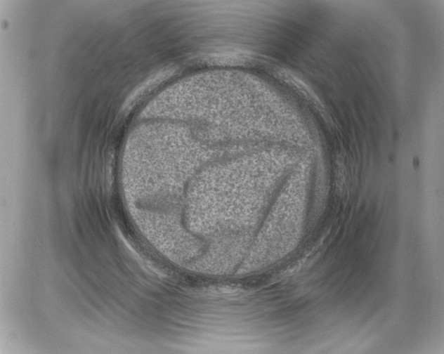 X0000085810586200704131948