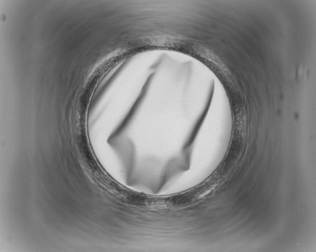 X0000085810587200704131948