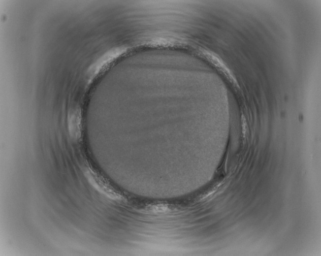 X0000085810588200704131948