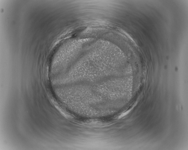 X0000085810589200704131948