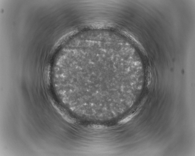 X0000085810590200704131948