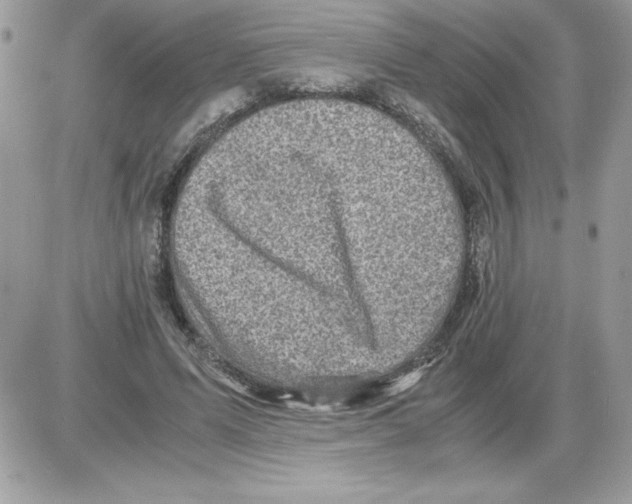 X0000085810591200704131948