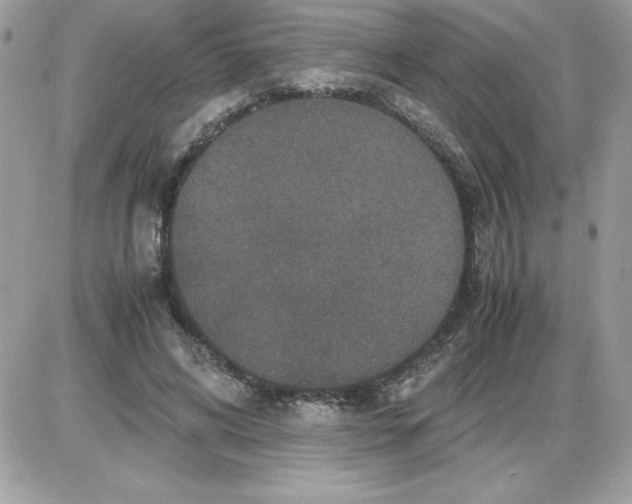 X0000085810592200704131948